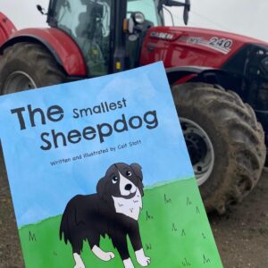 The Smallest Sheepdog original story