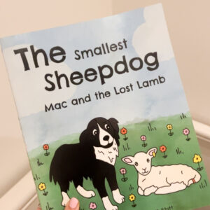 The Smallest Sheepdog Mac and the Lost Lamb