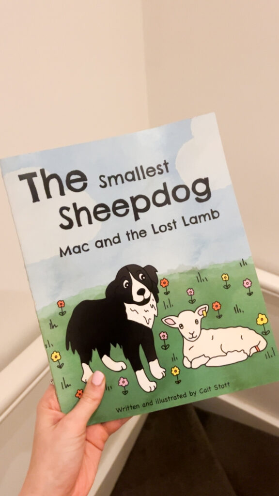 The Smallest Sheepdog Mac and the Lost Lamb